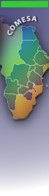 Comesa